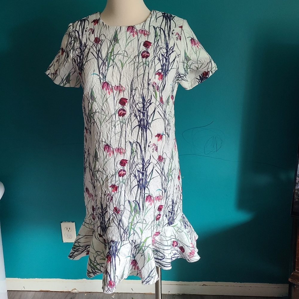 Sam & lavi Anthropologie floral shift dress cocktail size small drop waist